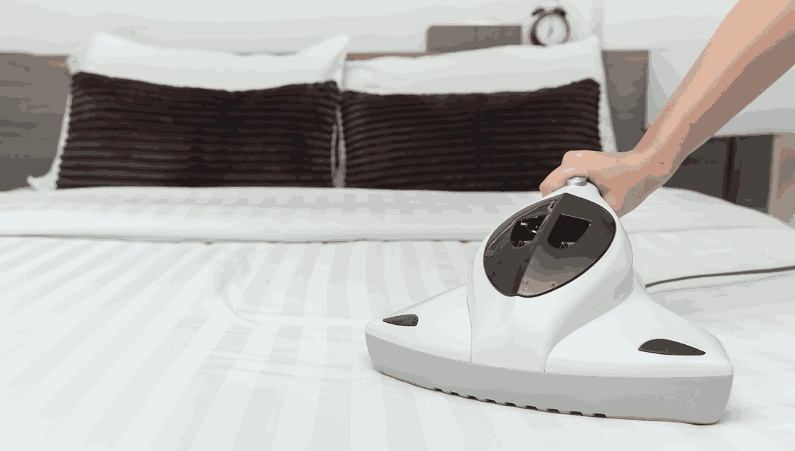 Professional Mattress Cleaning Attwood